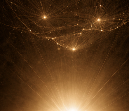 Organizational Transform expertise visual